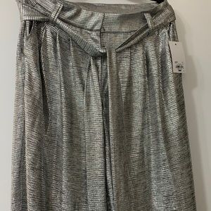 Silver sparkly pants